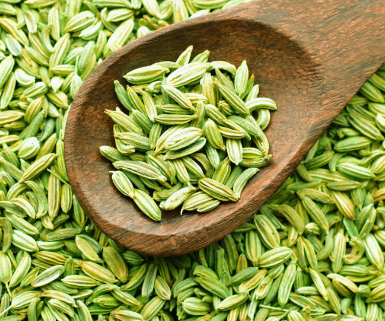Herbs Kingdom
